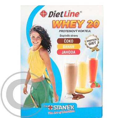 DietLine Whey 20 proteinový koktejl v prášku MIX 3 sáčky po 25 g