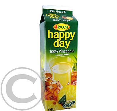 Džus Happy Day ananas 100 % 1l krabice