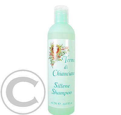Eudermic Sillene šampon 250ml VÝPRODEJ
