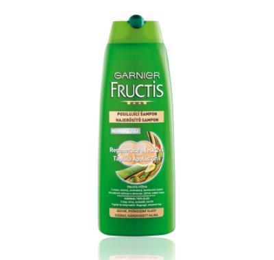GARNIER Fructis šampon regenerace   lesk 250 ml