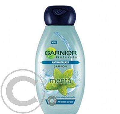 GARNIER NATURALS Máta šampon 250ml C3633400