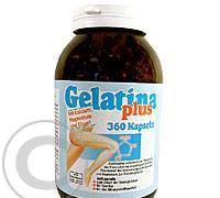 Gelatina Plus cps.360