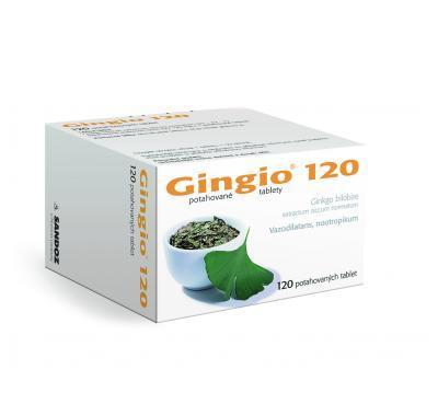 GINGIO 120  120X120MG Potahované tablety