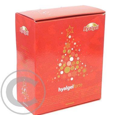 Hyalgel forte vánoční balení (2 x 500 ml), Hyalgel, forte, vánoční, balení, 2, x, 500, ml,