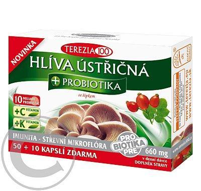 TEREZIA COMPANY Hlíva ústřičná   probiotika   vitamin C 50 kapslí  10 ZDARMA