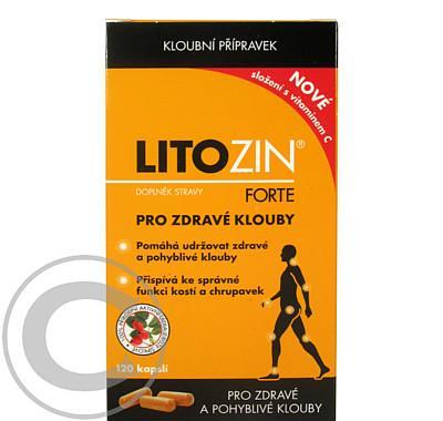 LitoZin Forte s vitaminem C cps.120