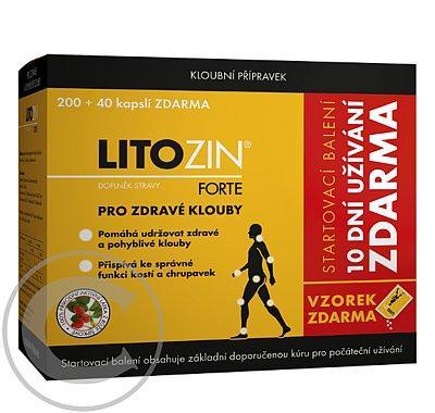 LitoZin Forte Startovací balení cps.210 30 zdarma