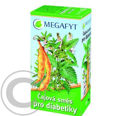 MEGAFYT Čajová směs pro diabetiky 20x1,5 g