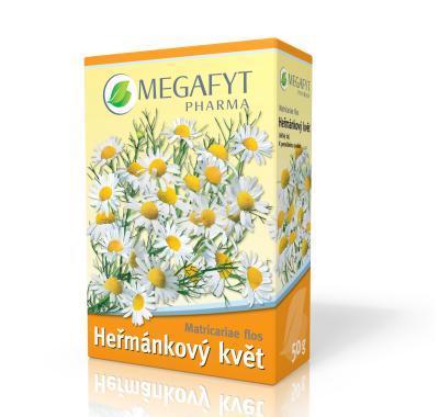 Megafyt Heřmánek bylinný čaj n.s.20x1g