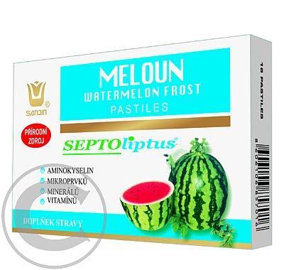 Meloun (Watermelon Frost) pastile 16ks pro krk, Meloun, Watermelon, Frost, pastile, 16ks, krk