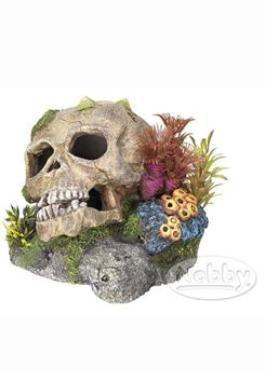 Nobby akvarijní dekorace Lebka s korálem 13,5x13x10cm
