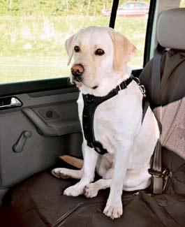 Postroj pes Bezpečnostní PROTECT do auta L Trixie