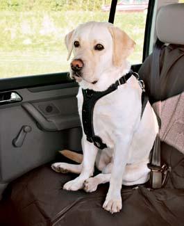 Postroj pes Bezpečnostní PROTECT do auta M Trixie
