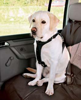 Postroj pes Bezpečnostní PROTECT do auta S Trixie