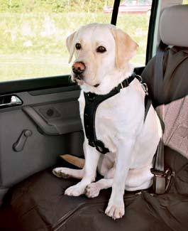 Postroj pes Bezpečnostní PROTECT do auta  XL Trixie