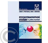 Psychoterapeutické systémy, Psychoterapeutické, systémy