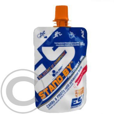 FIT-PRO CZECH Recovery Gel Stand - by grapefruit 80 g