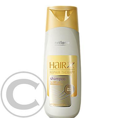 Regenerační šampón HairX Repair Therapy 250ml o14710