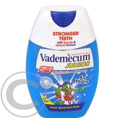 Vademecum 2v1 Junior Spearmint 75 ml