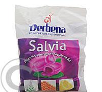 VERBENA Salvia bylinkové furé s vit.C sáček 60g