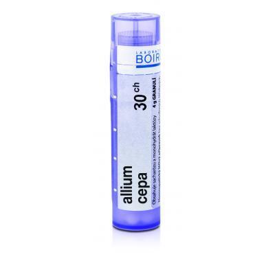 ALLIUM CEPA CH30 GRA.4G