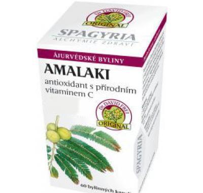 Amalaki - antioxidant přírodní vitamín C cps.60, Amalaki, antioxidant, přírodní, vitamín, C, cps.60