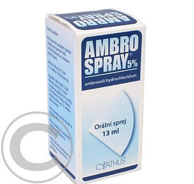 AMBROSPRAY 5%  13ML Ústní sprej