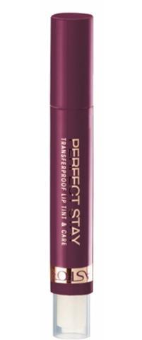 Astor Perfect Stay Lip Tint  10g Odstín 104 Prune Flush, Astor, Perfect, Stay, Lip, Tint, 10g, Odstín, 104, Prune, Flush