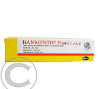 BANMINTH A.U.V. PST 10GM