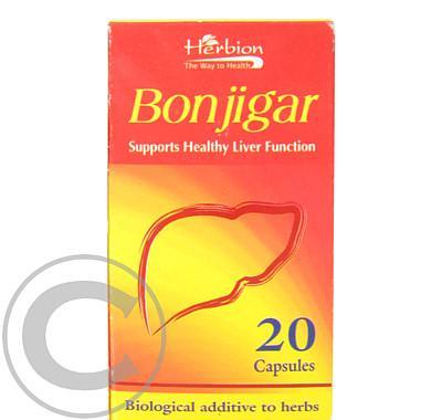 Bonjigar cps.20, Bonjigar, cps.20