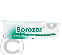 Borozan ung. 10 g, Borozan, ung., 10, g