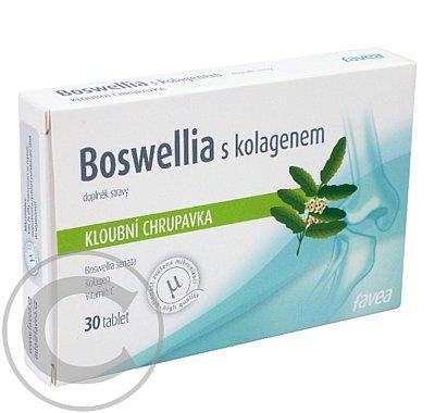Boswellie s kolagenem 30 tablet