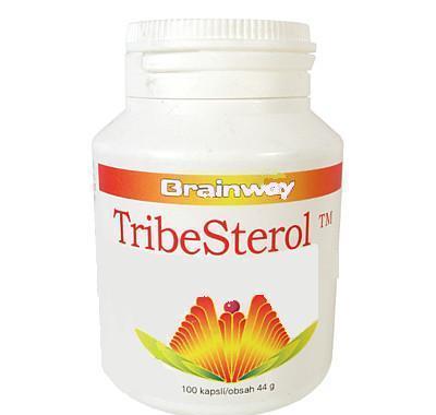 Brainway TribeSterol cps. 100