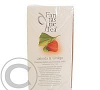 Čaj Fantastic Tea Jahoda   Ginkgo nálevové sáčky 20 x 2.5 g