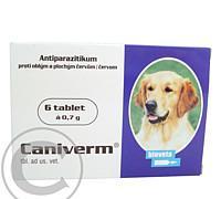 CANIVERM A.U.V. TBL 6 x 0,7G, CANIVERM, A.U.V., TBL, 6, x, 0,7G