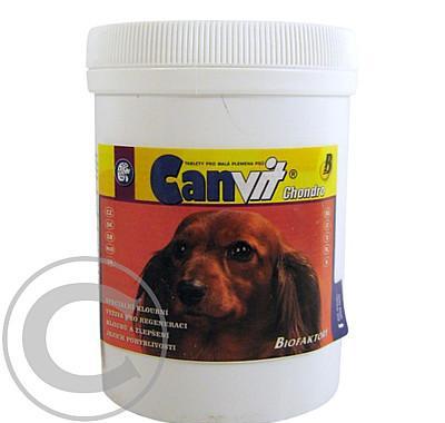 Canvit Chondro 250 g a.u.v., Canvit, Chondro, 250, g, a.u.v.