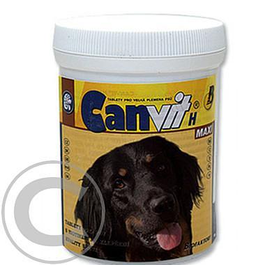 Canvit H Maxi 250g, Canvit, H, Maxi, 250g