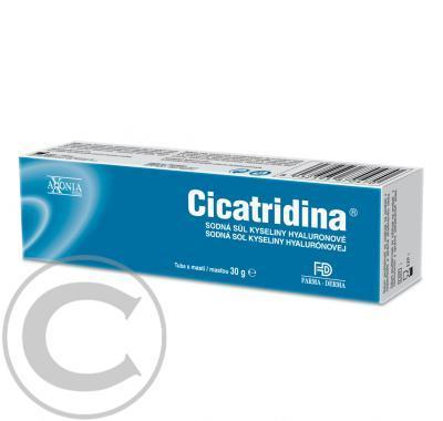 CICATRIDINA mast 30g, CICATRIDINA, mast, 30g