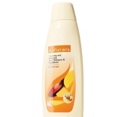 Čistící šampon a kondicionér 2 v 1 s mangem a zázvorem pro všechny typy vlasů 750 ml