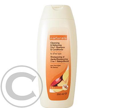 Čisticí šampon a kondicionér 2 v 1 s mangem a zázvorem pro všechny typy vlasů Naturals (Mango & Ginger Shampoo & Conditioner) 250 ml