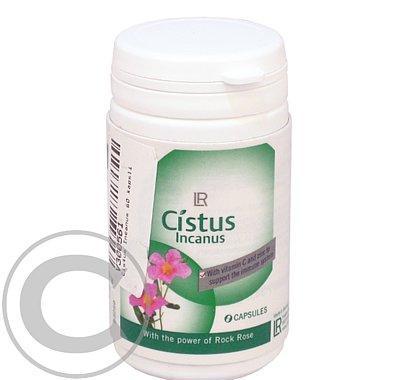 Cistus Incanus 60 kapslí, Cistus, Incanus, 60, kapslí