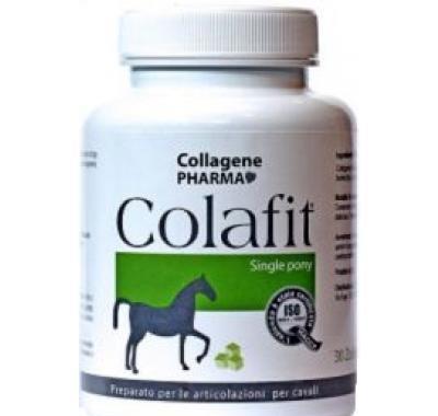 COLAFIT pony pro koně 30 kostiček, COLAFIT, pony, koně, 30, kostiček