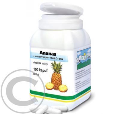 DR.GALEN Ananas 60 tbl