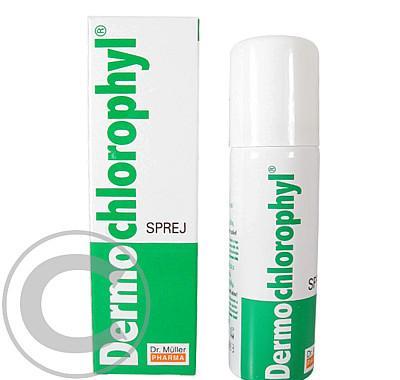 DR.MULLER Dermochlorophyl sprej 30g, DR.MULLER, Dermochlorophyl, sprej, 30g