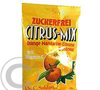 DR.SOLDAN Citrus mix b.c.vit.C sáč.75g