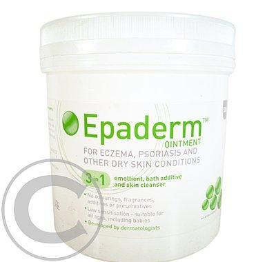 Epaderm ointment 500 g