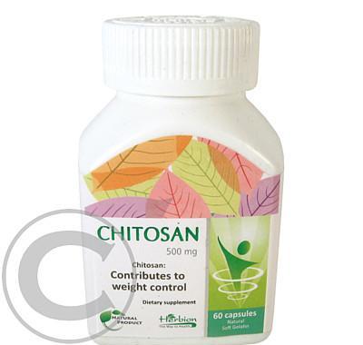 Chitosan 500mg cps.60, Chitosan, 500mg, cps.60