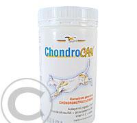 Chondrocan 500 g a.u.v., Chondrocan, 500, g, a.u.v.