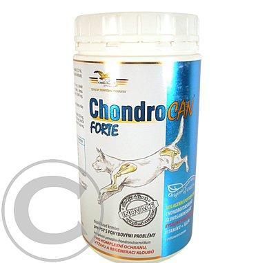 Chondrocan Forte 500g, Chondrocan, Forte, 500g