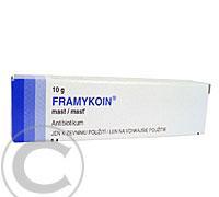 FRAMYKOIN  1X10GM Mast